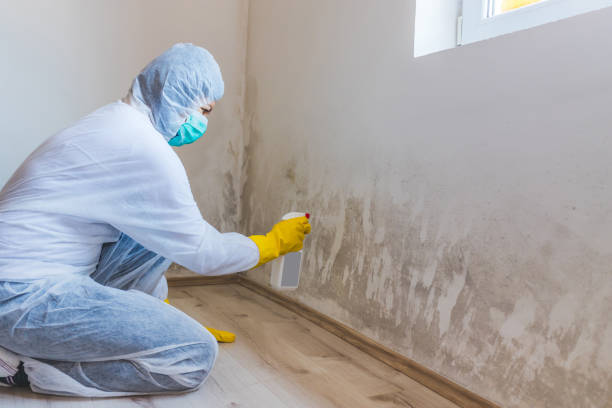 Licensed Mold Remediation service in Clinton, NC - 24 Hour Mold Removal