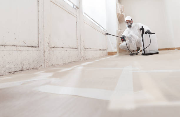 24/7 Emergency Mold Remediation experts in Clinton, NC