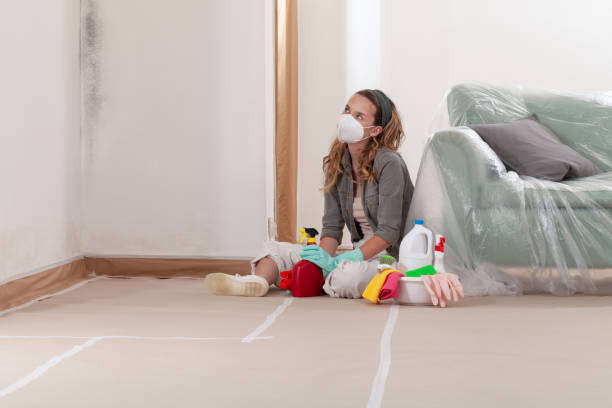 Reliable Mold Remediation contractor in Clinton, NC by 24 Hour Mold Removal