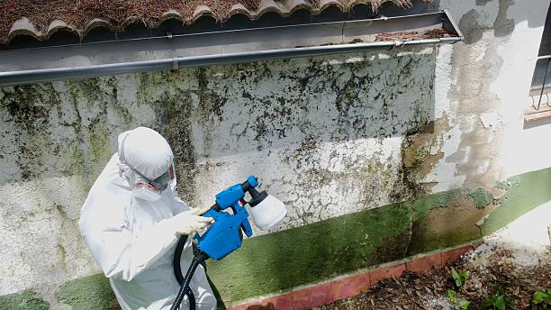 Top rated local Mold Remediation specialists in Clinton, NC